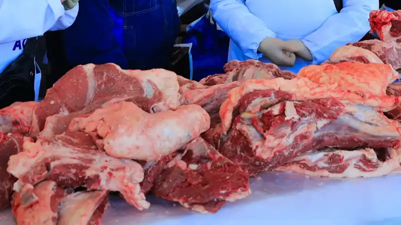 Kazakhstan to ramp up meat exports to Europe through Russia