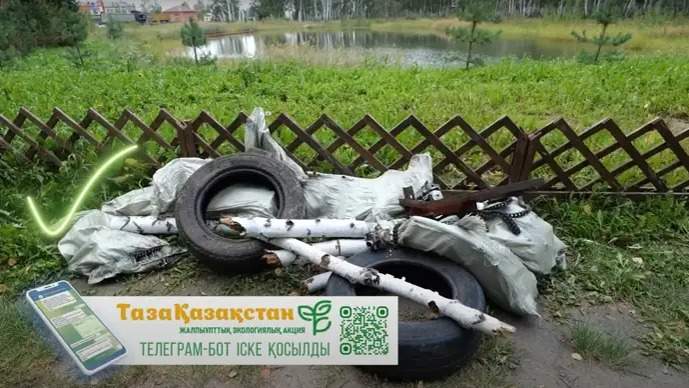 Роль волонтеров в поддержании чистоты в городах Петропавловск