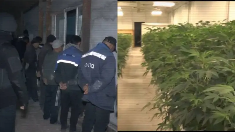 Esirtki bıznesi