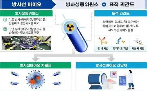 South Korea to foster radiopharmaceuticals industry for exports by 2035: science ministry
