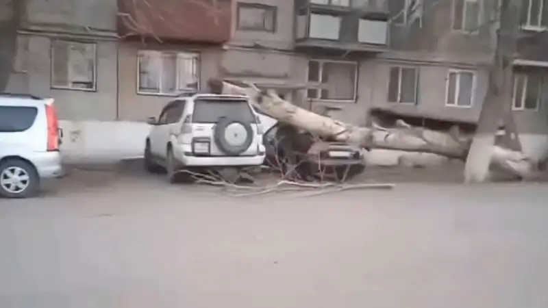 Дауыл