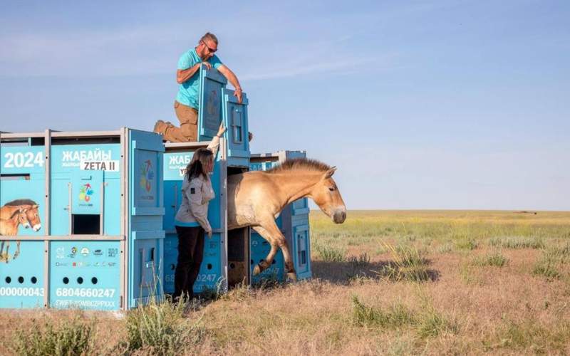 Инициатива &laquo;Алтын Дала&raquo; победила в&nbsp;престижной экологической премии
