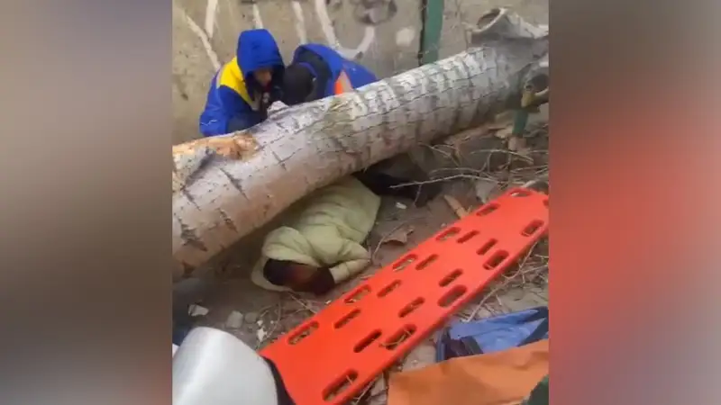 Pavlodarda áıeldi aǵash basyp qaldy