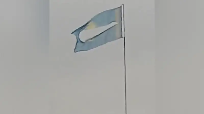 Мемлекеттік ту