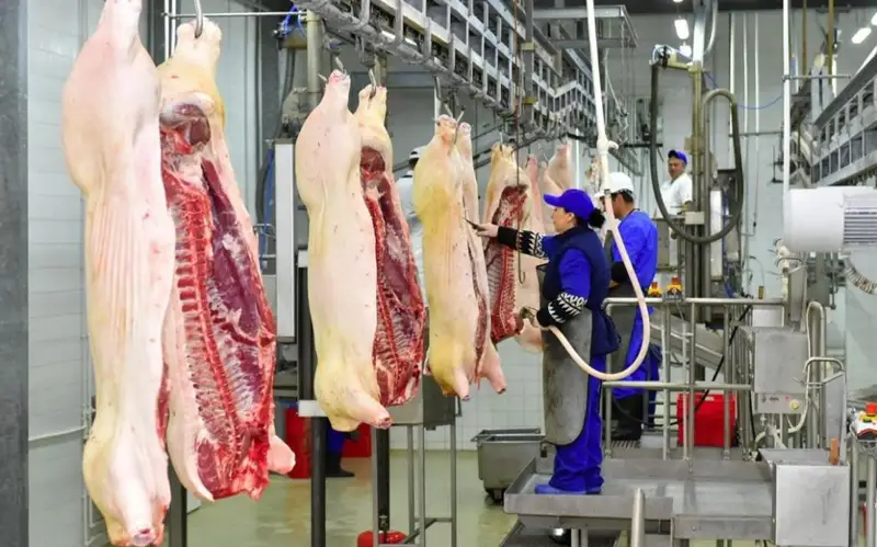 Ет өңдеу зауыты