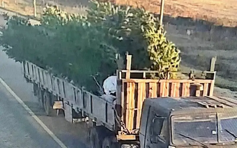 qaraǵaıdy urlap bara jatqan kólik