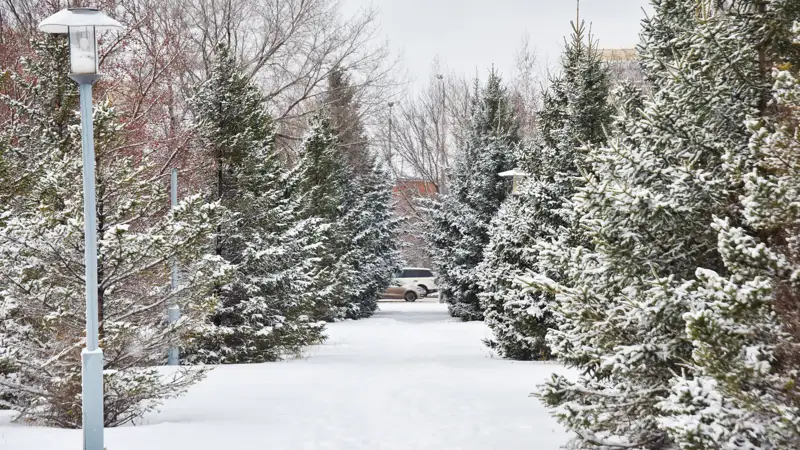 непогода снег  ауа райы қар