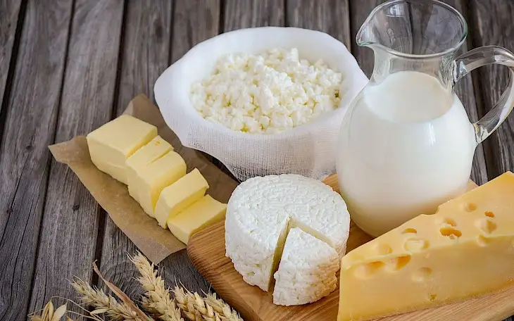 Dairy products exports in Kyrgyzstan surge compared to last year
