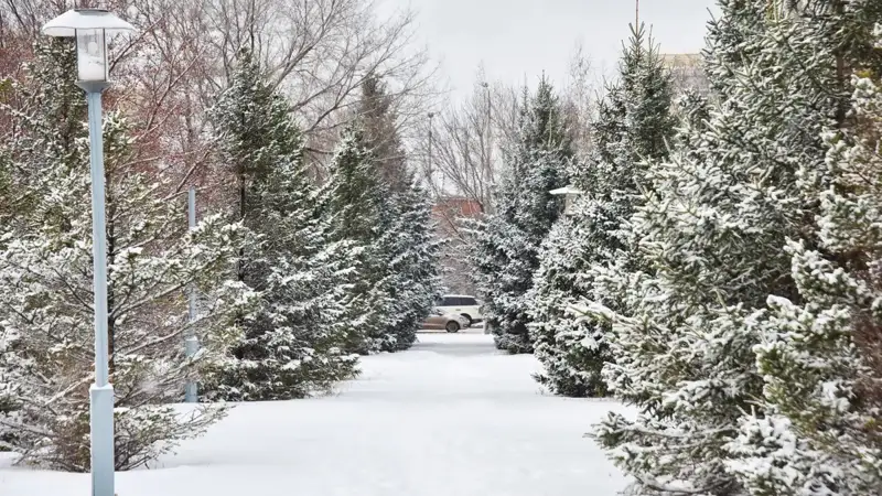 Rain, snow and blizzard to hit Kazakhstan Nov 12