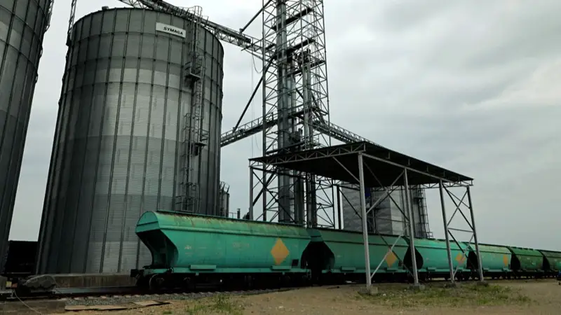 ҚТЖ 2024 жылы Қытайға 1,6 млн астық жөнелтуді жоспарлап отыр