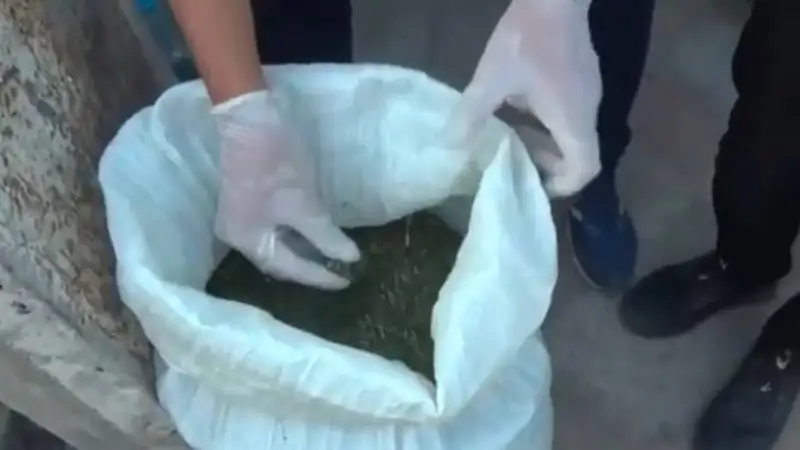 У машиниста на станции Шу нашли более 12 кг наркотиков