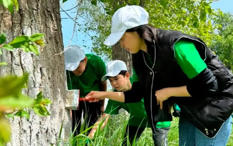 Страновой проект & эпоха декарбонизации