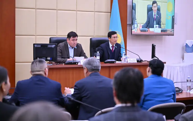 Креативная индустрия в РК держится на отдельных талантливых личностях - депутат