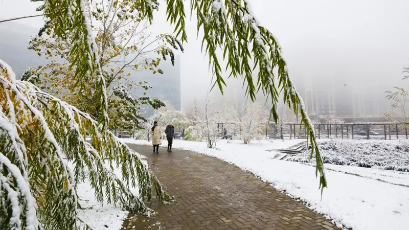 Алматы снег туман қар тұман 