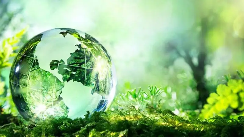 Ўзбекистонда “яшил” иқтисодиёт ривожлантирилади