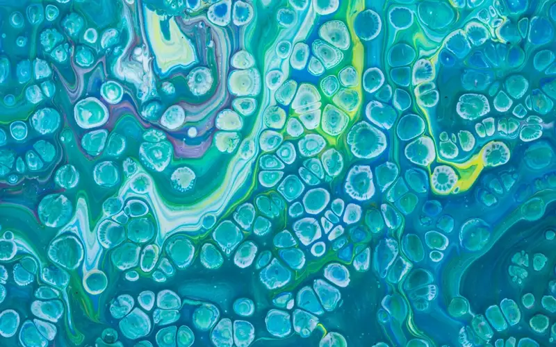 Plankton collapse could destabilize ocean ecosystems by 2100
