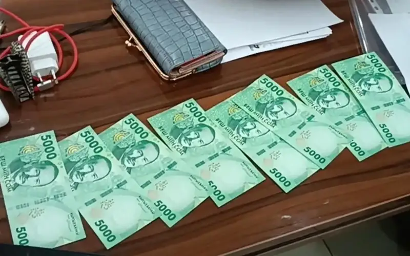 кыргызский сом