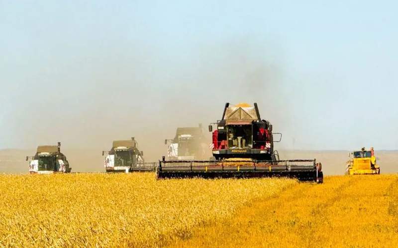 уборка урожая уборка урожая