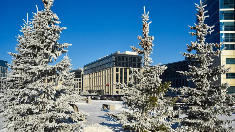 погода Зима ели снег ауа райы қыс қар шыршалар