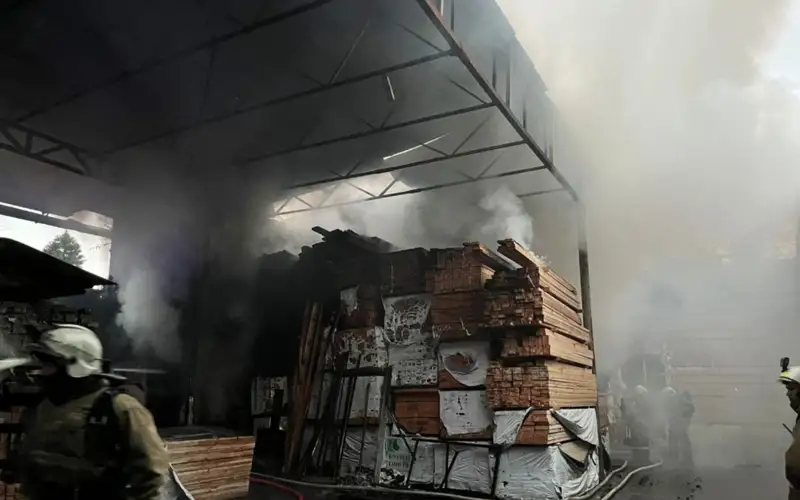 Склад с древесиной горел в Алматы 