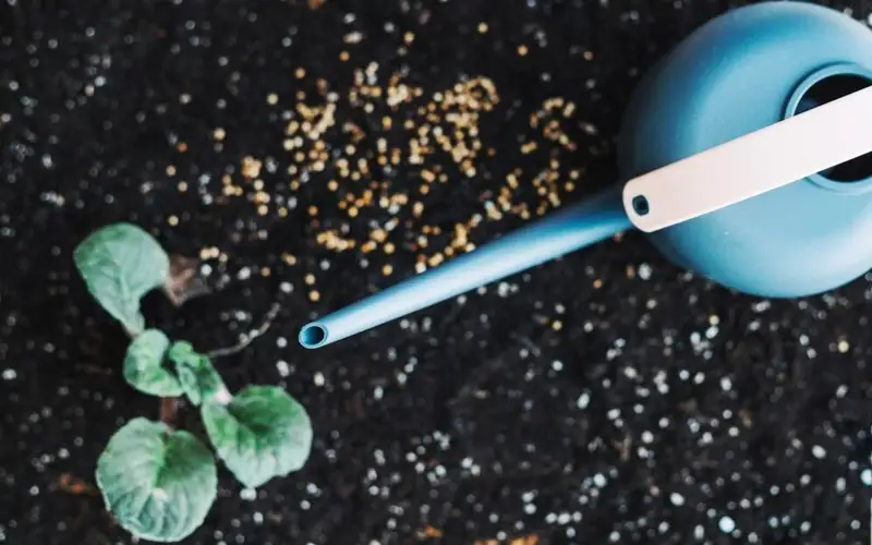 минеральные удобрения