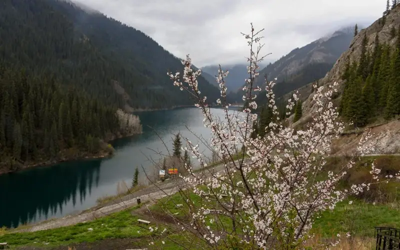 Алматинская область