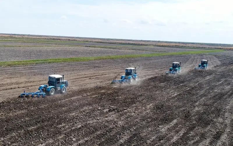 Прокредитованы 150 проектов в рамках программы «Ауыл аманаты» в Кызылординской области