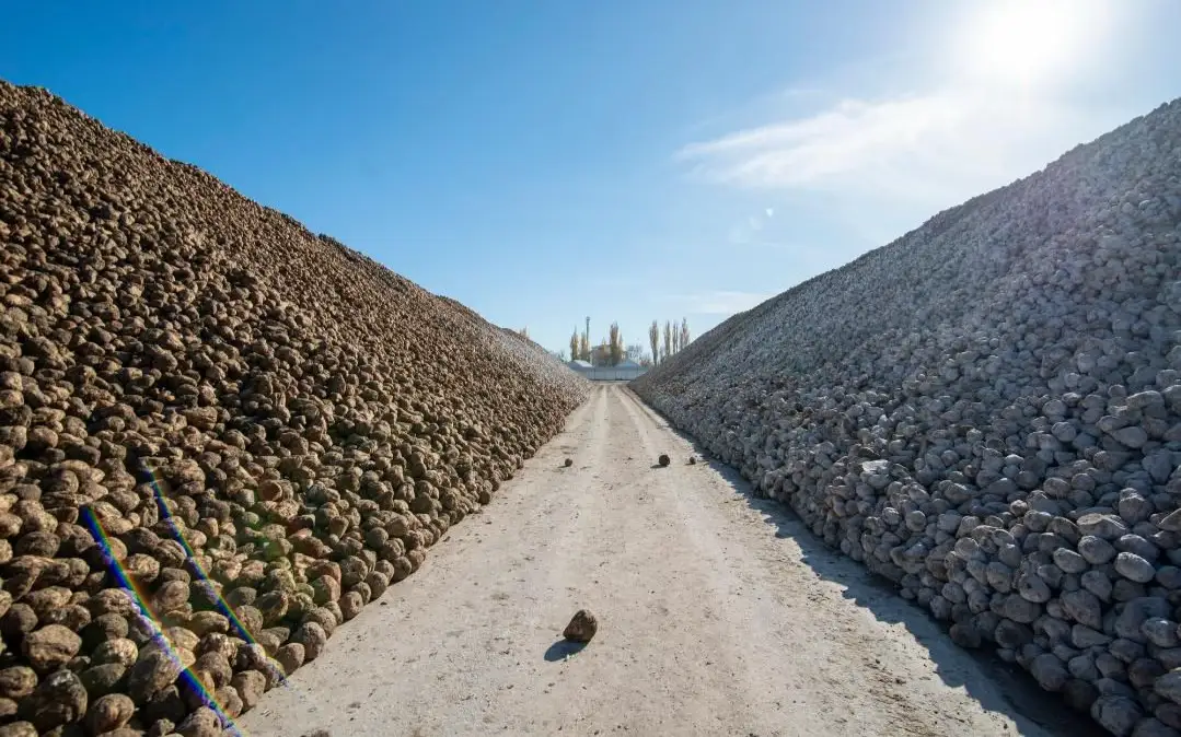 халат астындағы түкті 18