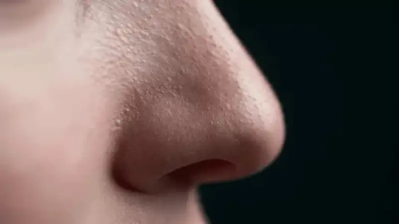 ауа арқылы сіңіре алады