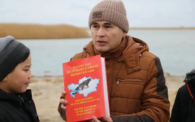 По факту гибели каспийских тюленей должно быть возбуждено уголовное дело — независимый эколог