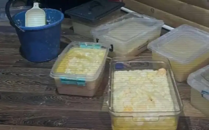 Производителей и сбытчиков наркотиков задержали в Астане и Алматы