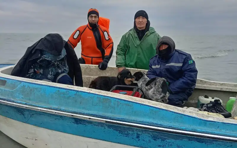 балықшылар