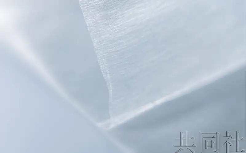 兴和公司开发的片状袋蛾纤维