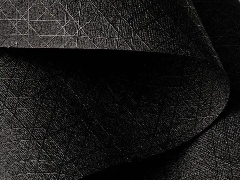 бактериядан жасалған сөмке