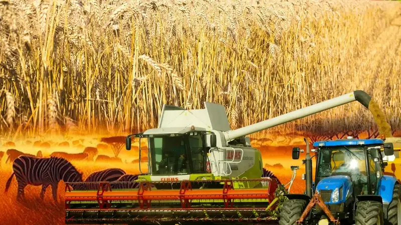 What’s needed to export the record grain harvest