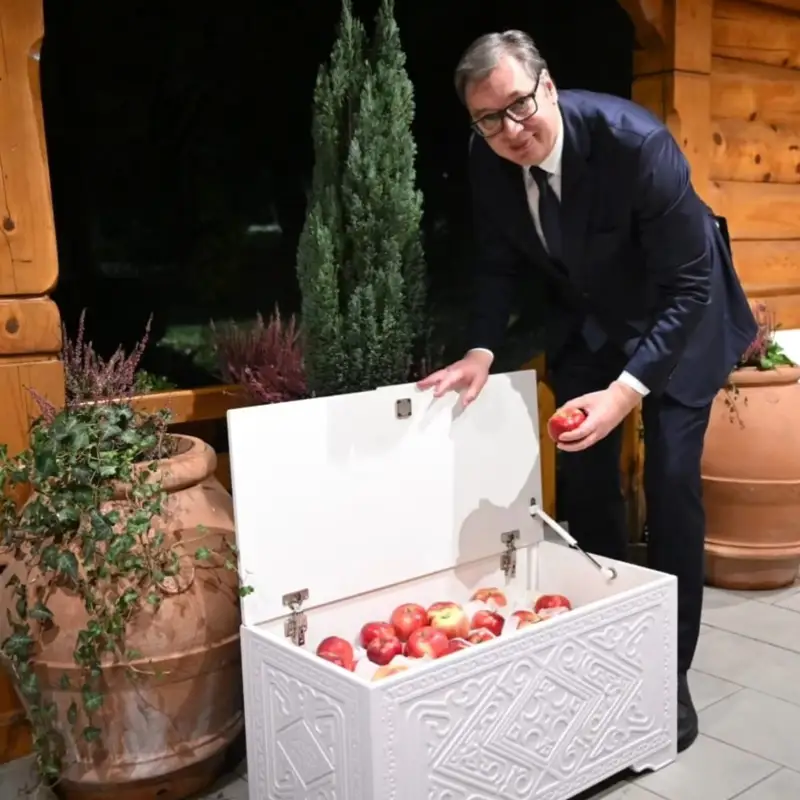 Касым-Жомарт Токаев вручил своему коллеге сундук с алматинским аппортом, чем впечатлил Президента Сербии Александра Вучича