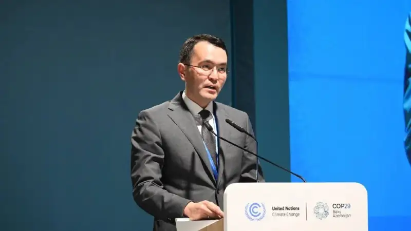 COP29