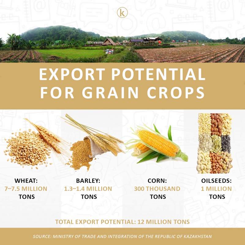 Export potential for grain crops