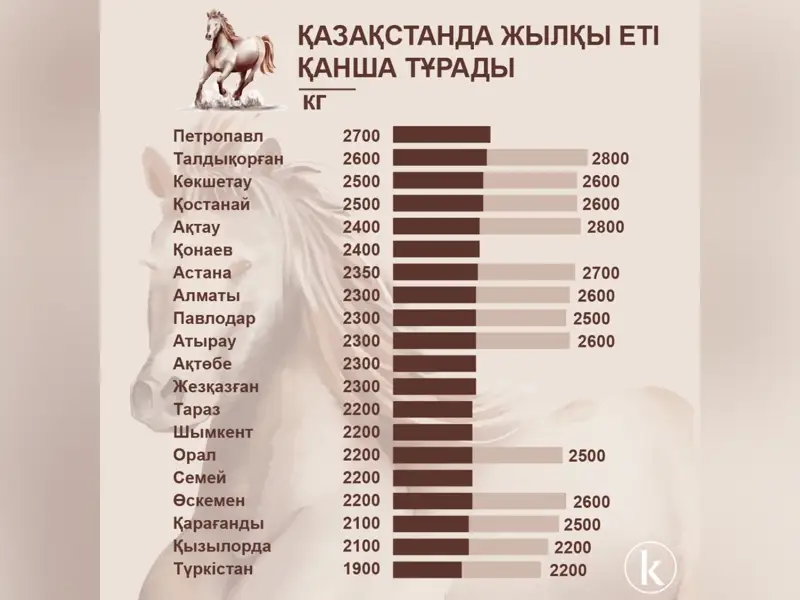 Порно жарнаманы қараңыз