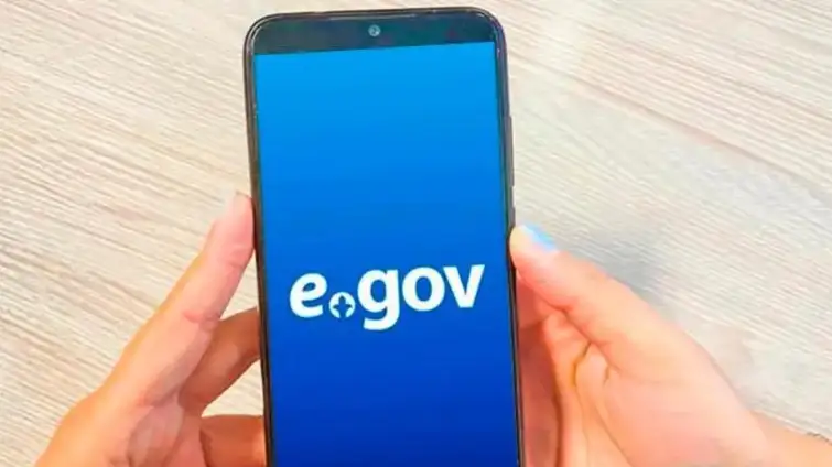 Egov mobile