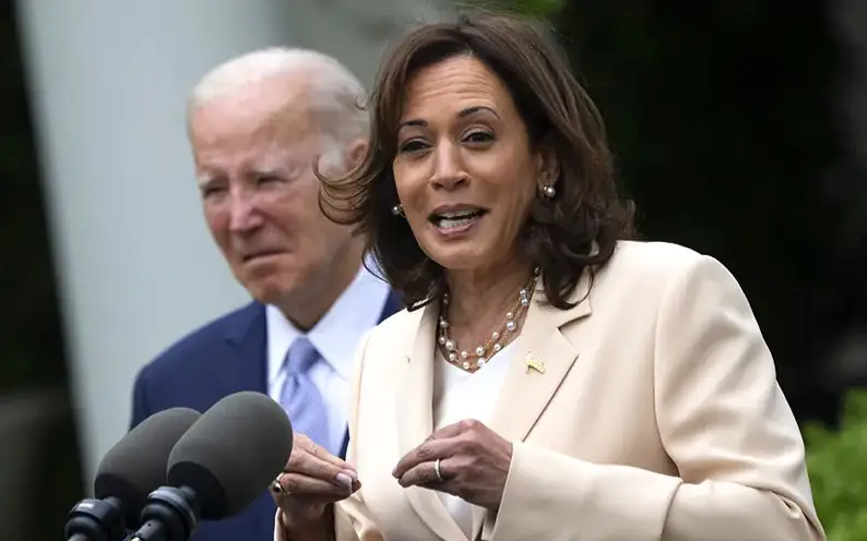 Планы на будущее вице-президента США Камалы Харрис