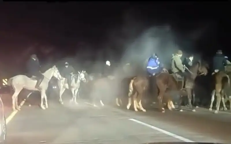 Кокпар на трассе в Алматинской области: организатора и участников игр арестовали