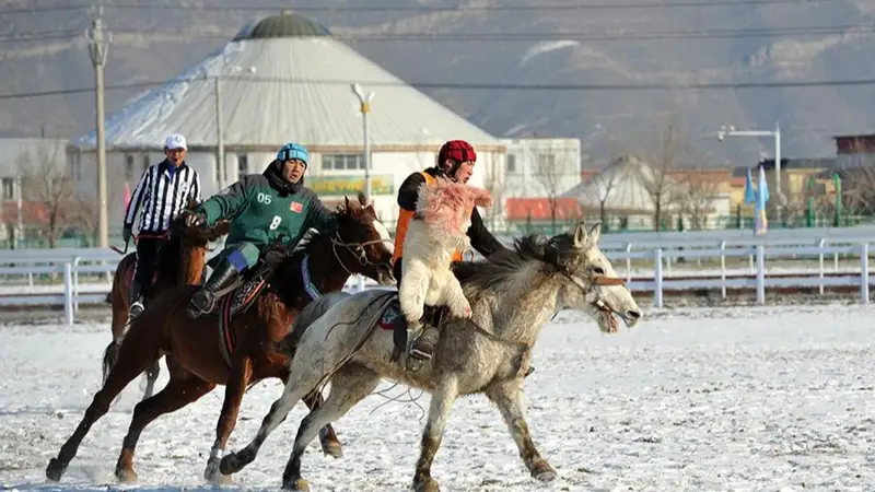 Іле жылқысы, көкпар