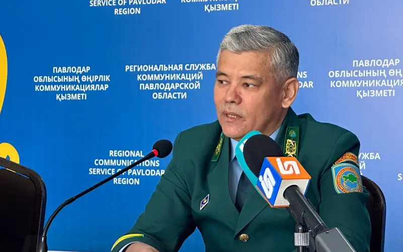 В 5 раз увеличили число сайгаков в Павлодарской области