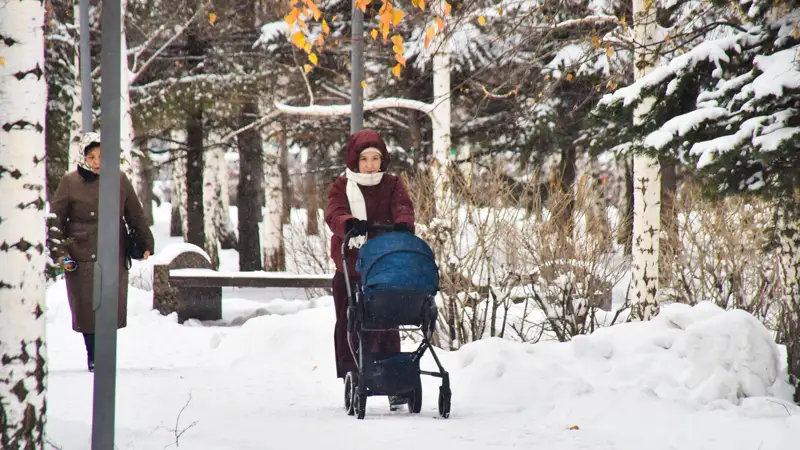 Зима люди снег қыс адамдар қар