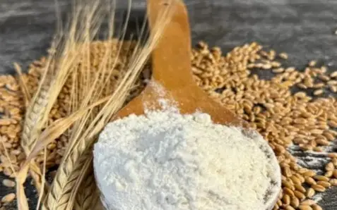 астық экспорты