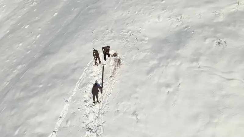 мониторинг лавин