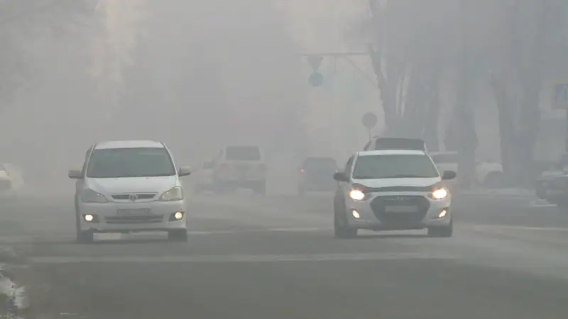 В Усть-Каменогорске увеличат финансирование сферы экологии