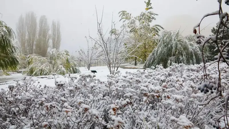 Fog to batter Kazakhstan Fri