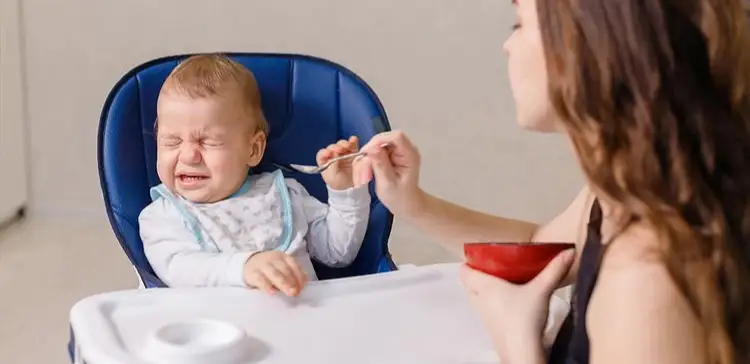 тамақ таңдау